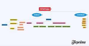 Начальная школа Начальная школа